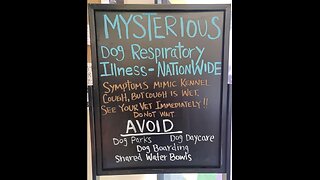 Mysterious Dog Illness