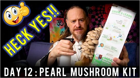 Day 12: Organic Pearl Oyster Mushroom Grow Kit (15 days to Harvest) Sustainability | How To Review