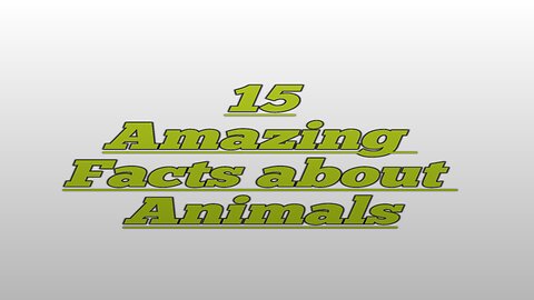 Amazing Facts About Animals | Amazing Fun Facts About Animals You Didn’t know
