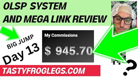 OLSP System Reviews - Affiliate Marketing for Beginners (Day 13)