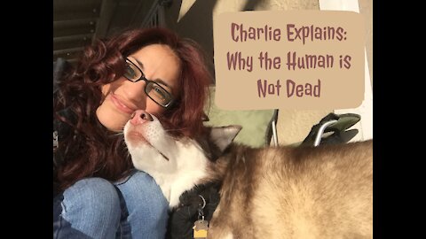 Charlie Explains: Why The Human is Not Dead