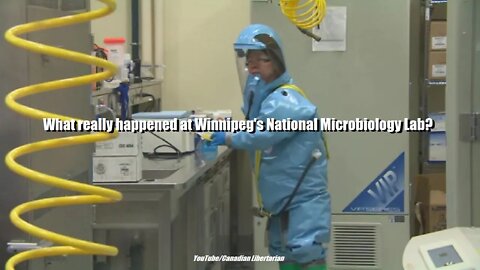 What really happened at Winnipeg's National Microbiology Lab?