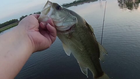 Farmer Kicks Me Off Property. I Go Back And Catch Bass Left And Right