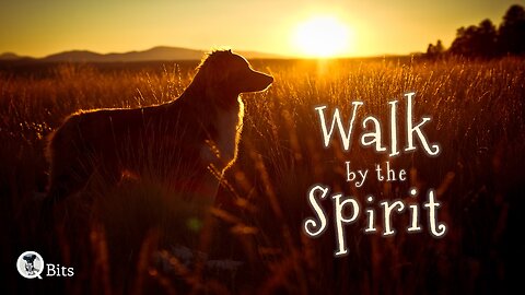 #685 // WALK BY THE SPIRIT - LIVE