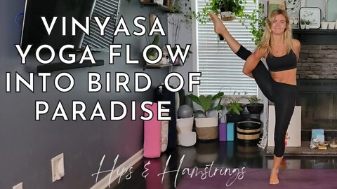 Vinyasa Yoga Flow into Bird of Paradise | Hips and Hamstrings Yoga
