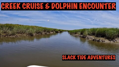 A Scallywag Saltwater Creek Cruise with a Dolphin Encounter and a Visit to Fort Frederica Monument