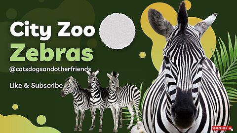 #🦓 Zebras: Care, and Conversations about Stripes! 🌿🦓
