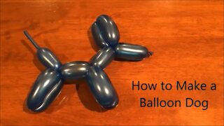 How to Make a Balloon Dog