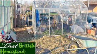 March Allotment tour 2022: Winter gardening