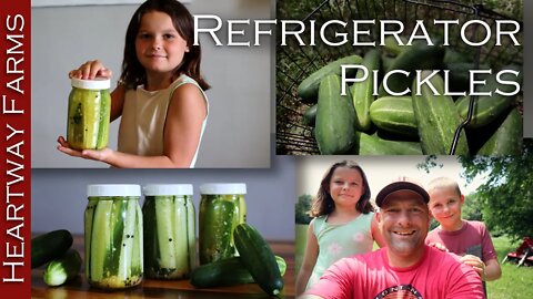 How To Make Refrigerator Pickles | Fresh Garden Cucumbers | Canning | Food Preservation | Prepping