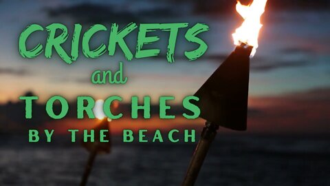 Crickets and Torches by the Beach | Crickets and Light | Ambient Sound | What Else Is There?