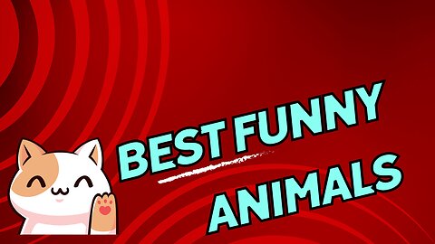 Best Funny Animal Videos 2023
