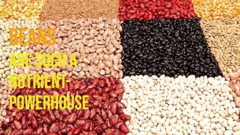 Plant based food: Beans are such a nutrient powerhouse [benefits of beans]