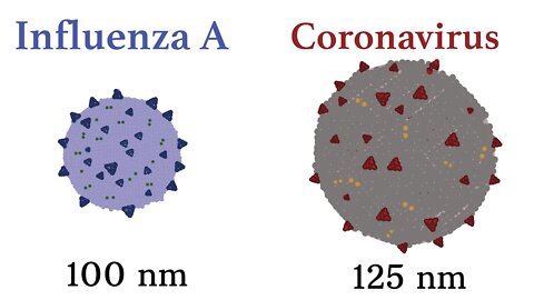 Difference Between The Flu and Coronavirus?