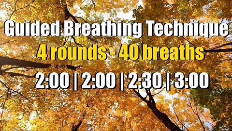 Guided Breathing Technique with Sadhguru Chanting: 4 rounds / 40 breaths [NEW VOICE]