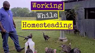 Homesteading While Working Full Time