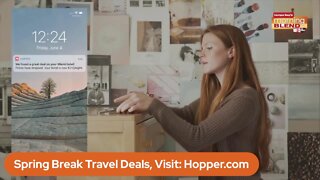 Travel Mom Shares Spring Break Deals | Morning Blend