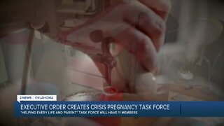 Executive order creates pregnancy task force