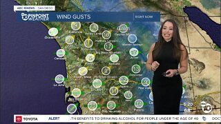 ABC 10News Pinpoint Weather with Meteorologist Angelica Campos