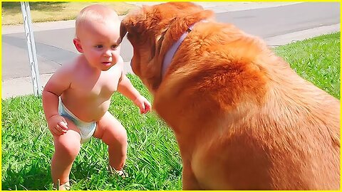 Dog Play With Cute Baby 🍼