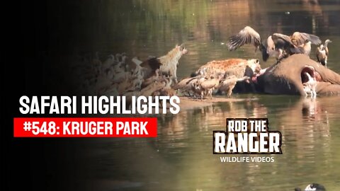 Safari Highlights #548: 16 &17 August 2020 | Kruger National Park | Latest Wildlife Sightings