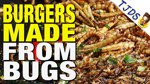 Fake Meat Industry Using Mealworms & Maggots for Burgers!