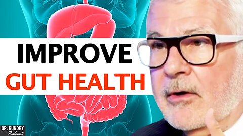 INSANE BENEFITS of Akkermansia (Boost Your HEALTH Beyond Your Gut) | Dr. Gundry & Colleen Cutcliffe
