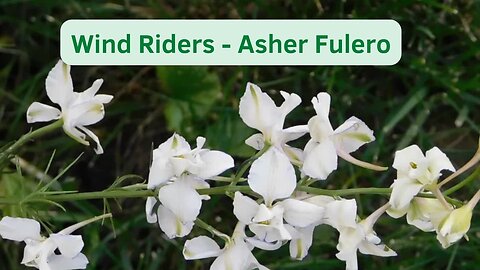 Wind Riders - Asher Fulero