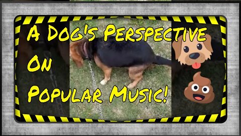 A Dog's Perspective on Popular Music: Maxine the Beagle Says It Sucks!