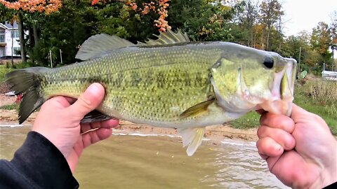 Awesome Fishing - Gorgeous Smallmouth/Largemouth Bass