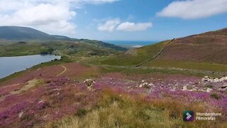 Cregennan Lake - Wales