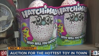 2 Hatchimals up for auction at Summerlin store