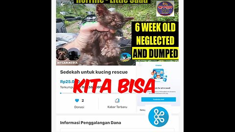 Kitabisa.com - Our ad for kitten rescue on Indonesia's 'Fund me' website