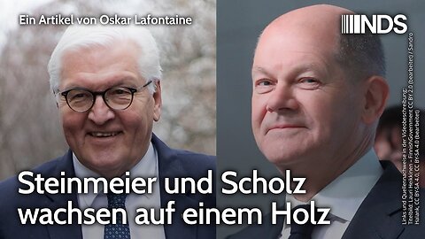 Steinmeier und Scholz wachsen auf einem Holz.Oskar Lafontaine@NDS🙈🐑🐑🐑 COV ID1984