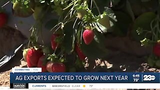 Ag exports expected to grow