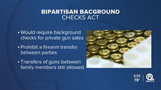 Will the Senate pass the Bipartisan Background Checks Act?