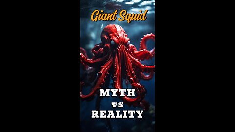 🦑Giant Squid: Myth vs Reality | Erudites' Espresso #48