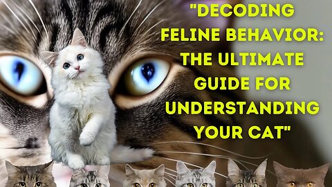 "Decoding Feline Behavior: The Ultimate Guide for Understanding Your Cat"