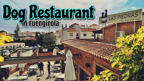 🇪🇸 Las Piedras - Dog friendly restaurant in Fuengirola, Costa del Sol