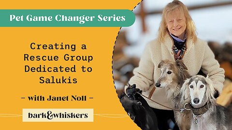 Creating a Rescue Group Dedicated to Salukis With Janet Noll