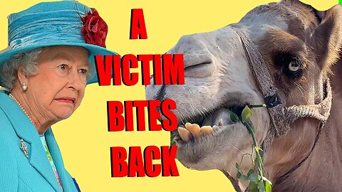 A Victim Bites Back EP 3 - Queen Elizabeth, Marrakech & the Camels OOGA CHAGGA OOGA CHAGGA
