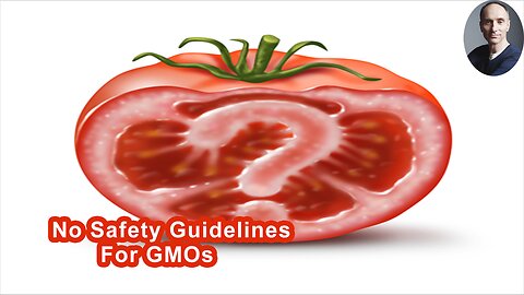 Did The United States FDA Really Have No Safety Guidelines For GMOs Before They Were Released In The