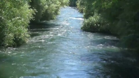 Flowing River and Cicada Sounds