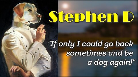 Stephen D - "If only I could go back sometimes and be a dog again!"