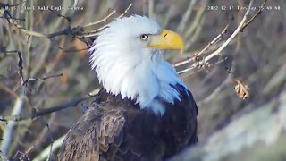 U. S. S. Eagles - Female close-up, full crop