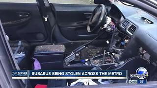 Subaru club reports uptick in car thefts