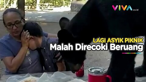 Suasana Piknik Mencekam, Ibu Lindungi Anaknya dari Beruang Hitam