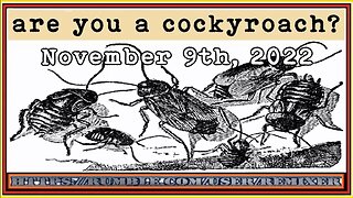 are you a cockyroach?