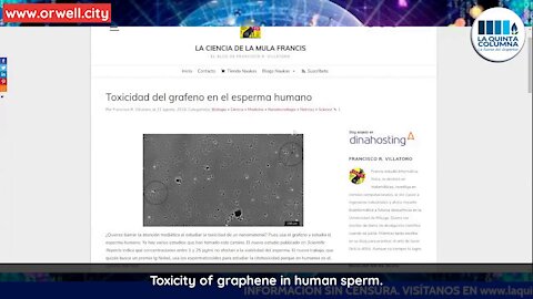 La Quinta Columna: Graphene Oxide causes Erectile Dysfunction and Sperm Toxicity