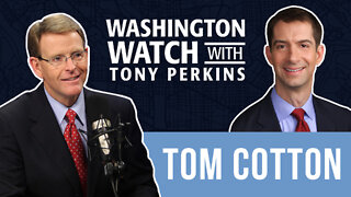 Tom Cotton Addresses the Threat of a Russian Invasion of Ukraine